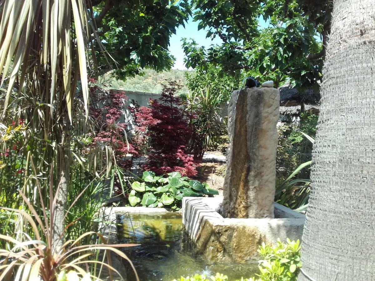 Studios Domaine L'Oliveraie Le Castellet  Dış mekan fotoğraf